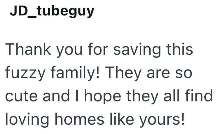 JD_tubeguy Thank you for saving this fuzzy family! They are so cute and I hope they all find loving homes like yours!