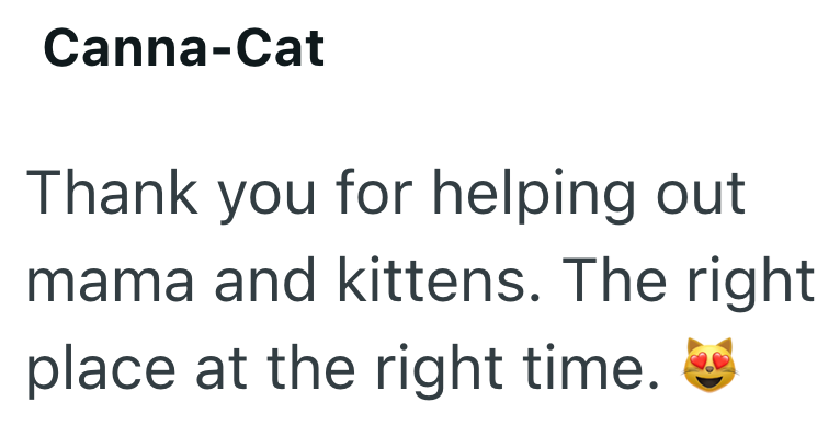 Canna-Cat Thank you for helping out mama and kittens. The right place at the right time.