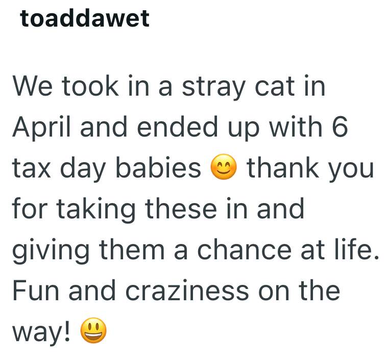 toaddawet We took in a stray cat in April and ended up with 6 tax day babies thank you for taking these in and giving them a chance at life. Fun and craziness on the way!