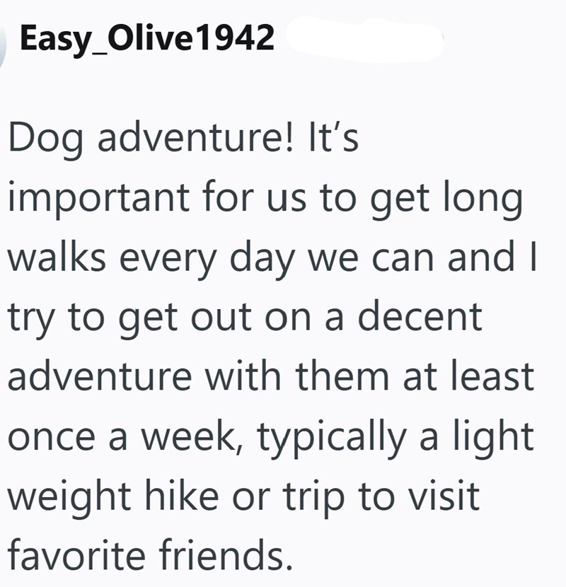 Easy_Olive1942 Dog adventure! It's important for us to get long walks every day we can and I try to get out on a decent adventure with them at least once a week, typically a light. weight hike or trip to visit favorite friends.