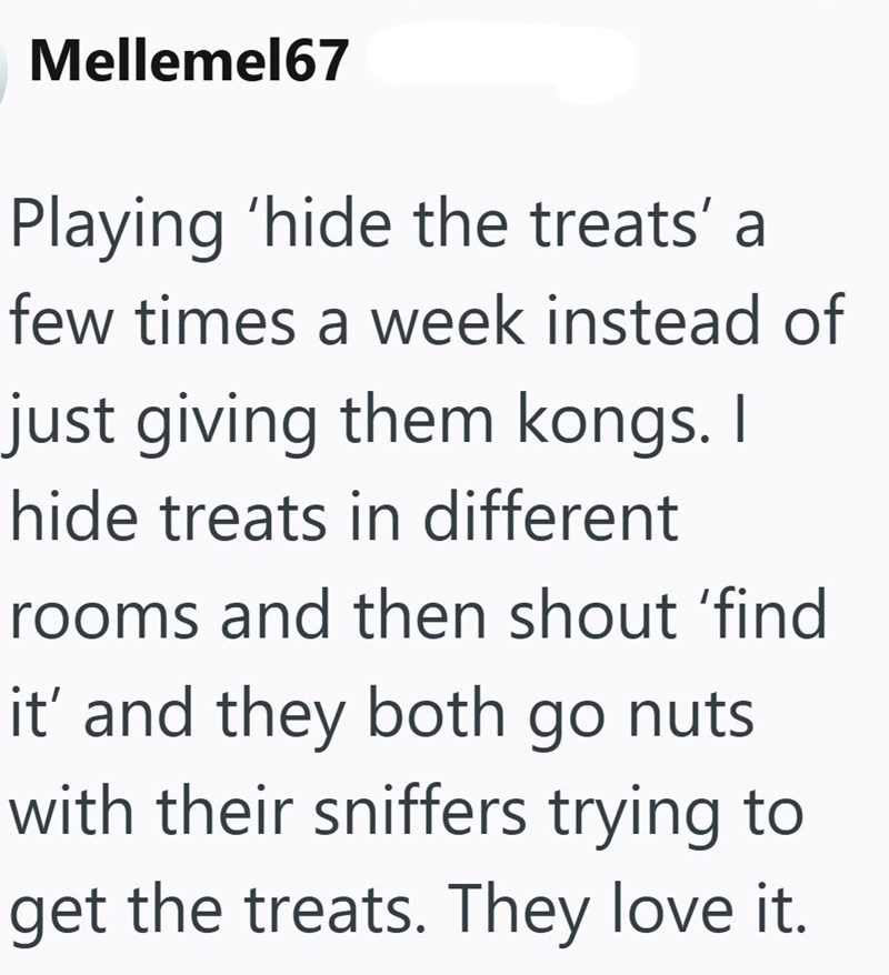 Mellemel67 Playing 'hide the treats' a few times a week instead of just giving them kongs. I hide treats in different. rooms and then shout 'find it' and they both go nuts with their sniffers trying to get the treats. They love it.