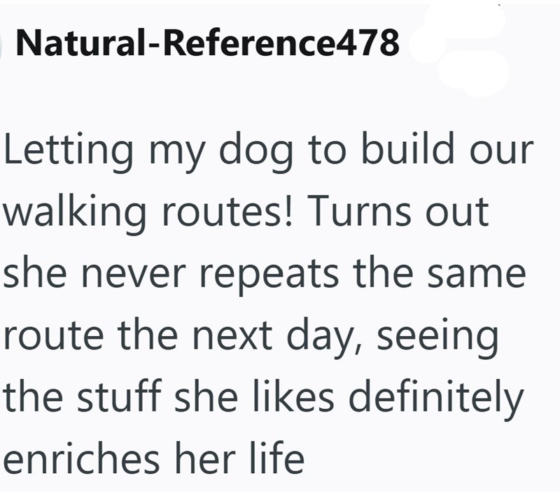 Natural-Reference478 Letting my dog to build our walking routes! Turns out she never repeats the same route the next day, seeing the stuff she likes definitely enriches her life