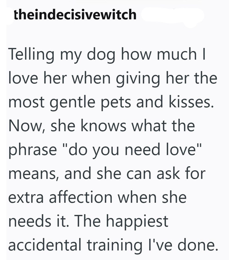theindecisivewitch Telling my dog how much I love her when giving her the most gentle pets and kisses. Now, she knows what the phrase "do you need love" means, and she can ask for extra affection when she needs it. The happiest accidental training I've done.