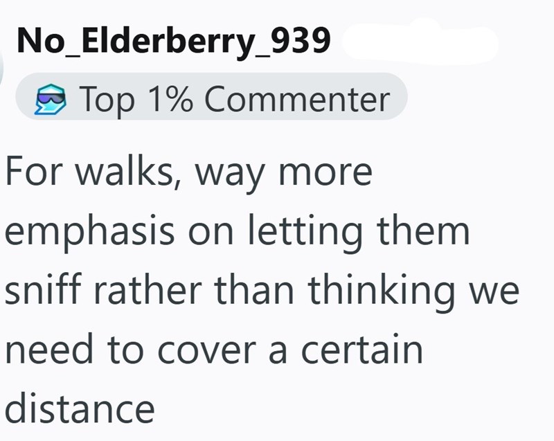 No_Elderberry_939 Top 1% Commenter For walks, way more emphasis on letting them sniff rather than thinking we need to cover a certain distance