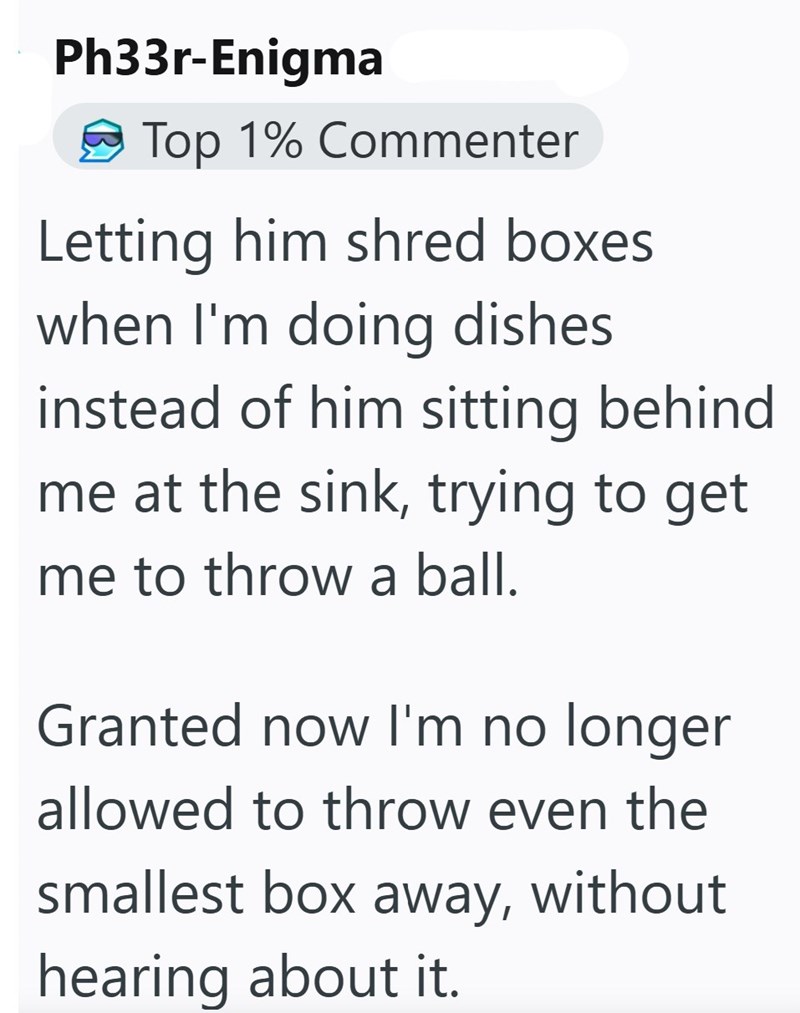 Ph33r-Enigma Top 1% Commenter Letting him shred boxes when I'm doing dishes instead of him sitting behind me at the sink, trying to get me to throw a ball. Granted now I'm no longer allowed to throw even the smallest box away, without hearing about it.