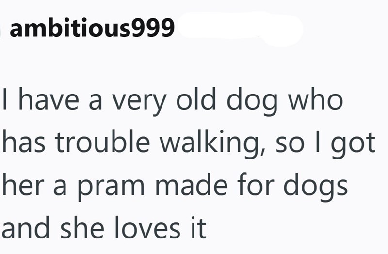 ambitious999 I have a very old dog who has trouble walking, so I got her a pram made for dogs and she loves it