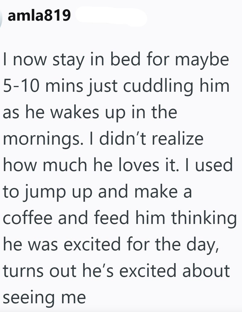 amla819 I now stay in bed for maybe 5-10 mins just cuddling him as he wakes up in the mornings. I didn't realize how much he loves it. I used to jump up and make a coffee and feed him thinking he was excited for the day, turns out he's excited about seeing me