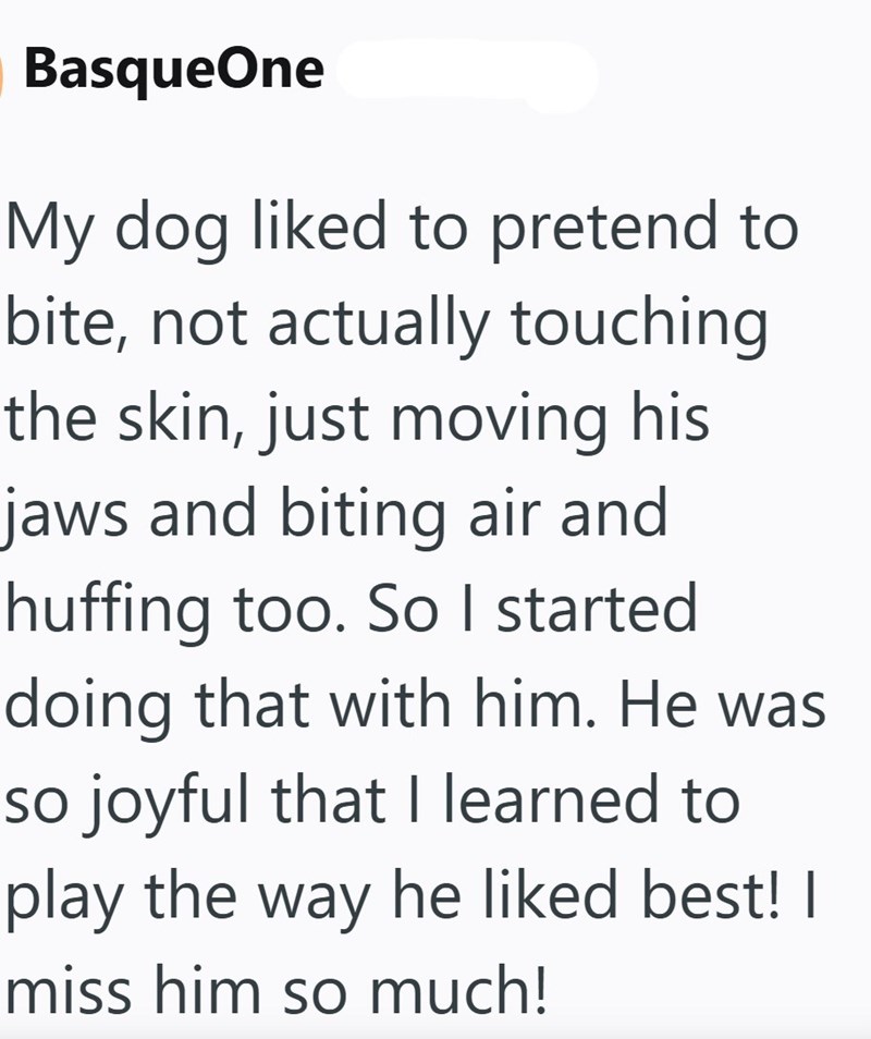 BasqueOne My dog liked to pretend to bite, not actually touching the skin, just moving his jaws and biting air and huffing too. So I started doing that with him. He was so joyful that I learned to play the way he liked best! I miss him so much!
