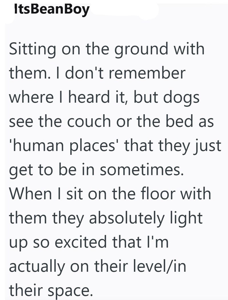 ItsBeanBoy Sitting on the ground with them. I don't remember where I heard it, but dogs. see the couch or the bed as 'human places' that they just get to be in sometimes. When I sit on the floor with them they absolutely light up so excited that I'm actually on their level/in their space.