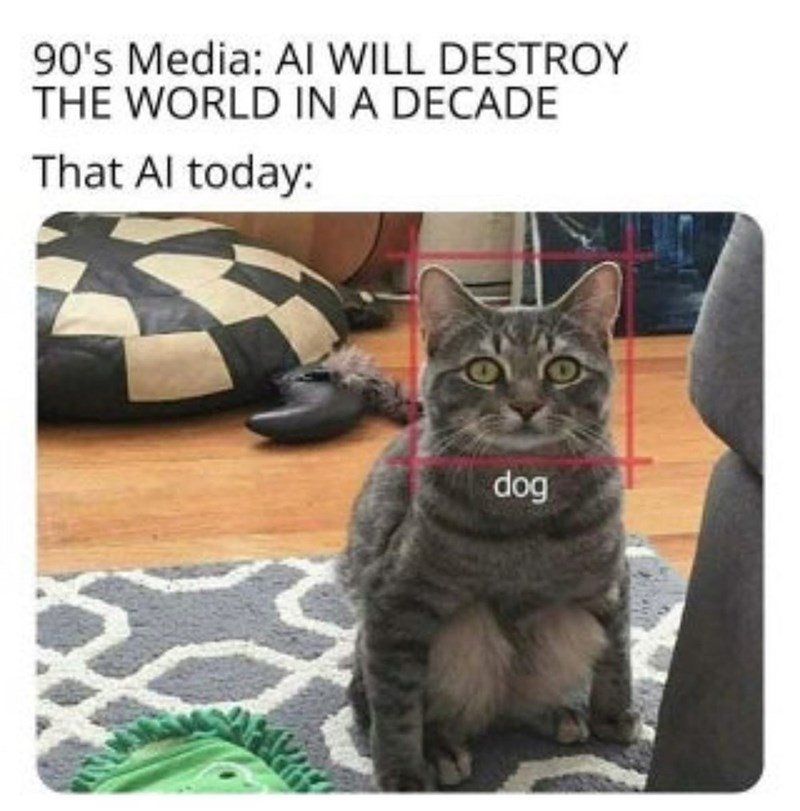 90's Media: AI WILL DESTROY THE WORLD IN A DECADE That Al today: dog