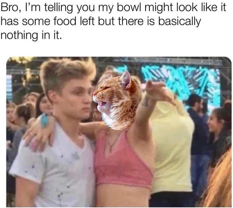 Bro, I'm telling you my bowl might look like it has some food left but there is basically nothing in it.