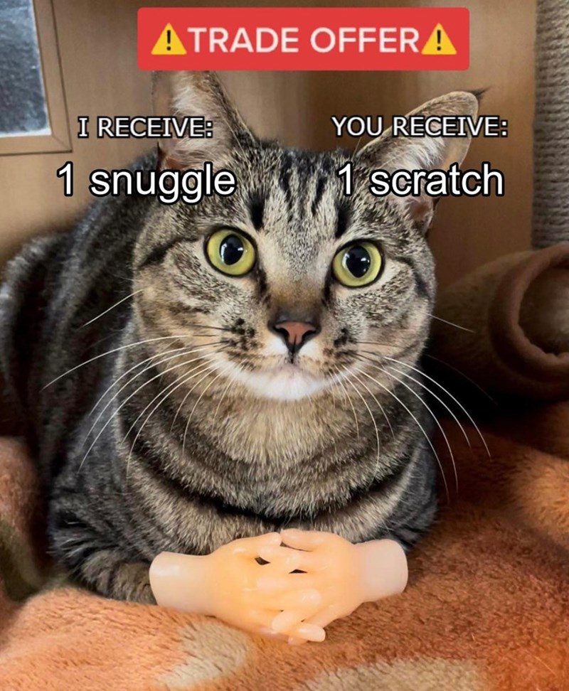 ATRADE OFFER A I RECEIVE: YOU RECEIVE: 1 snuggle 1 scratch