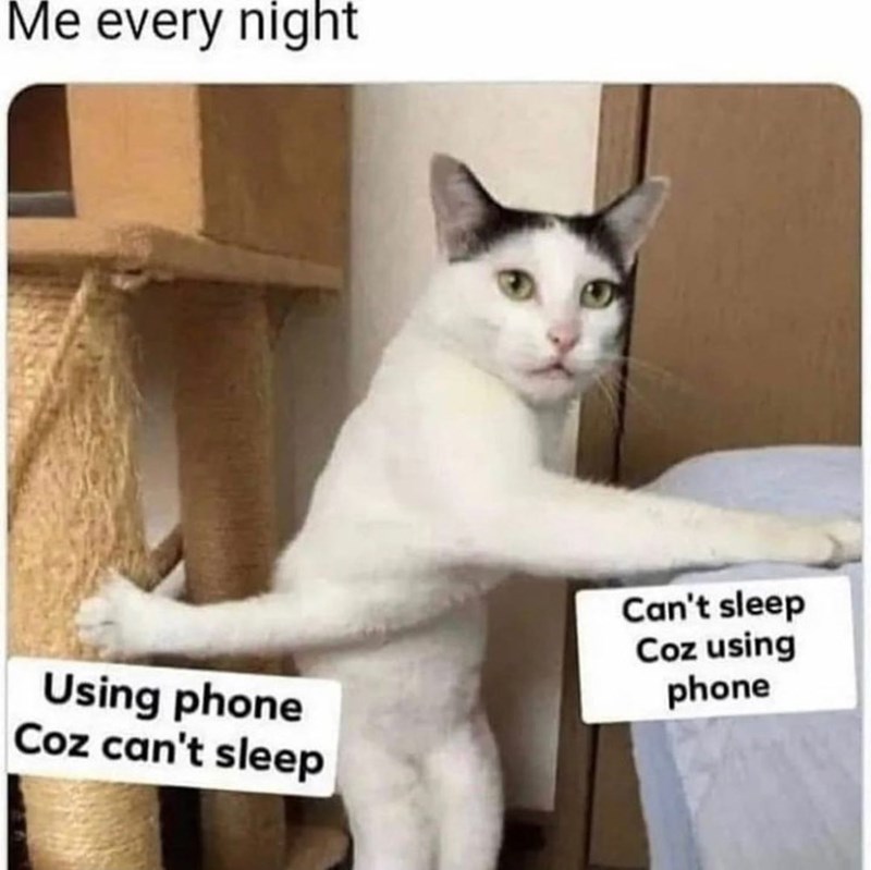 Me every night Using phone Coz can't sleep Can't sleep Coz using phone
