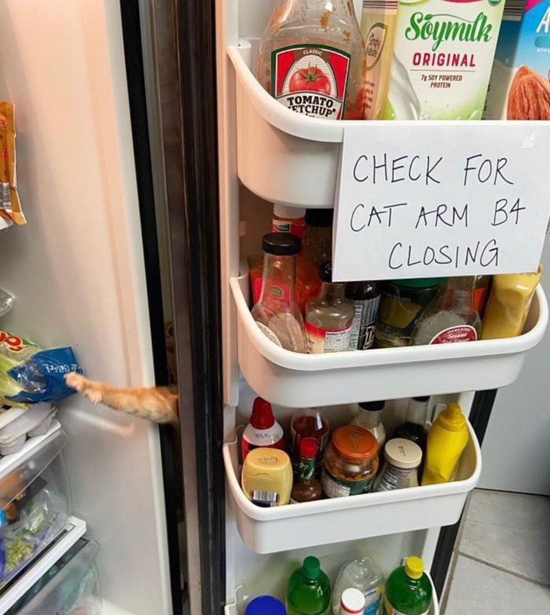 CLASSIC Soymilk ORIGINAL 7 SOY POWERED PROTEIN TOMATO ETCHUP CHECK FOR CAT ARM BA CLOSING Seian