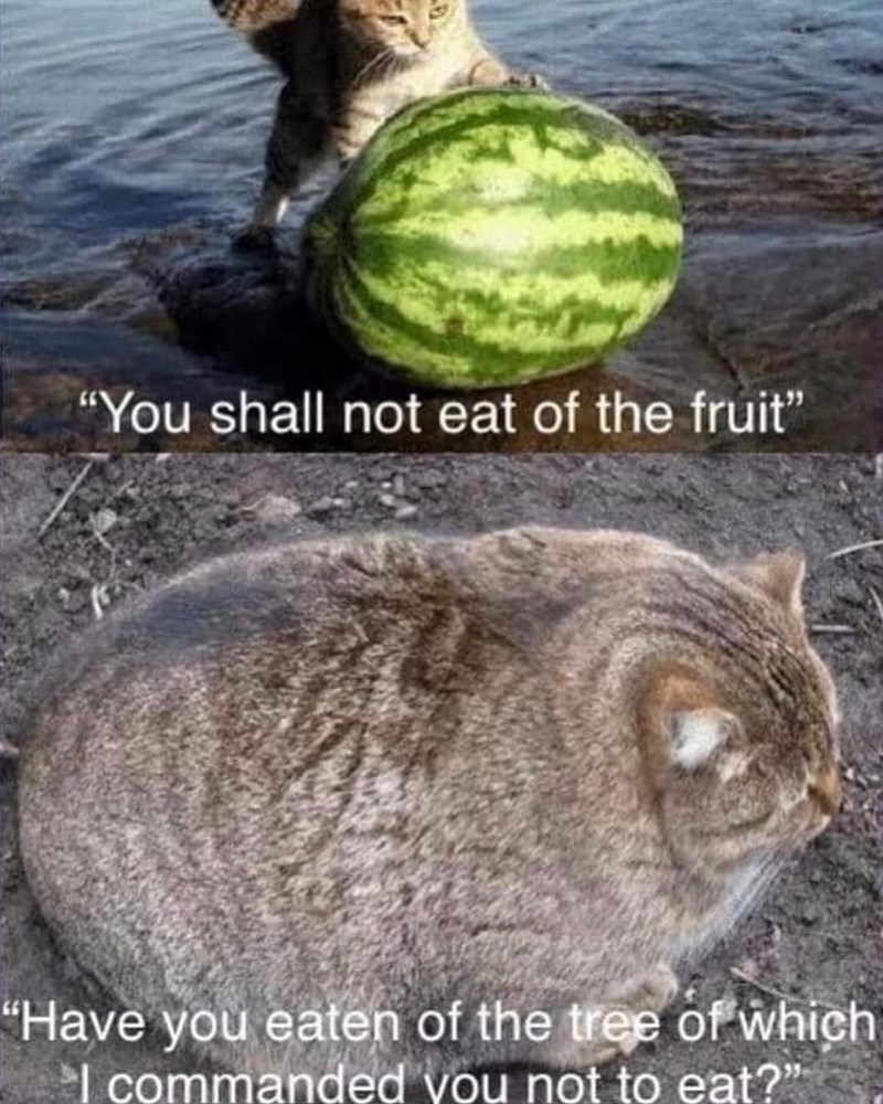 "You shall not eat of the fruit" "Have you eaten of the tree of which I commanded you not to eat?"