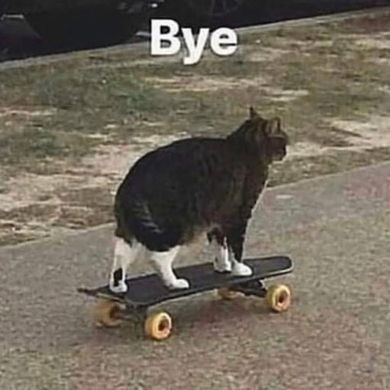 Bye