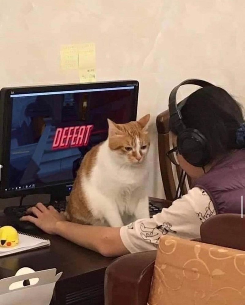 DEFEAT