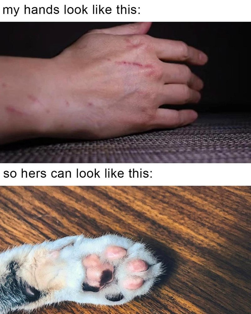 my hands look like this: so hers can look like this: