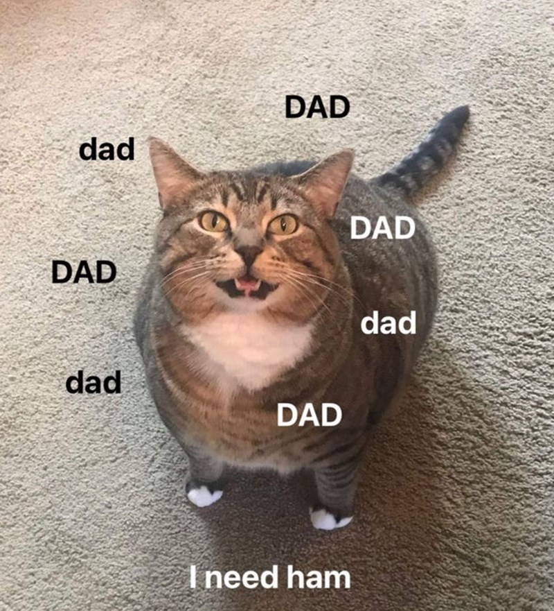 dad DAD DAD DAD dad DAD I need ham dad
