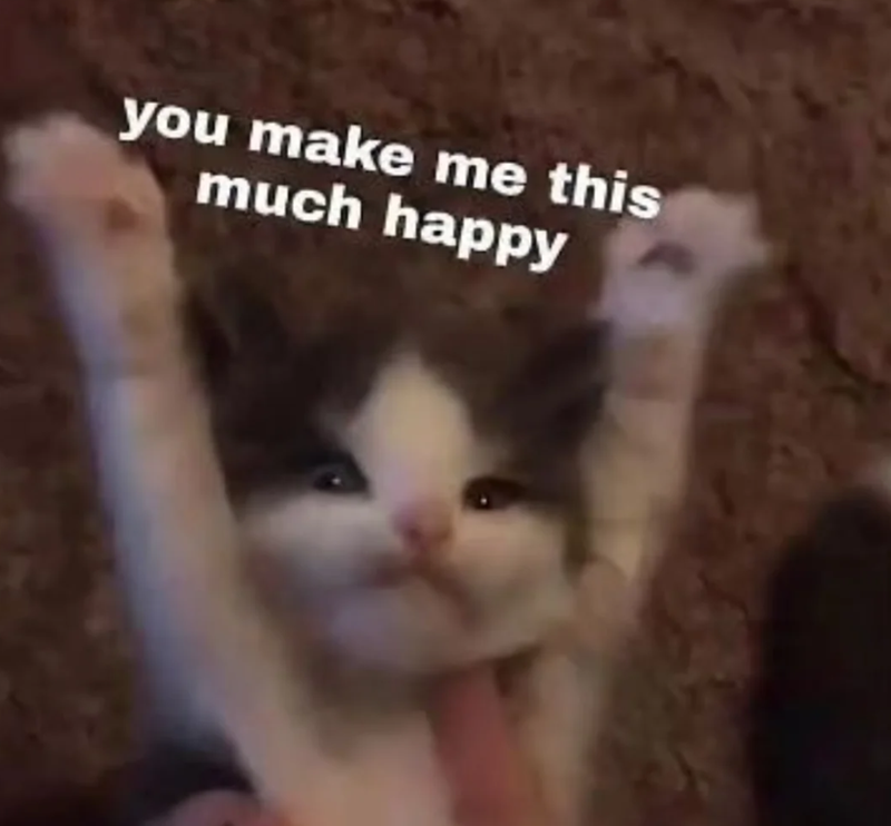 you make me this much happy