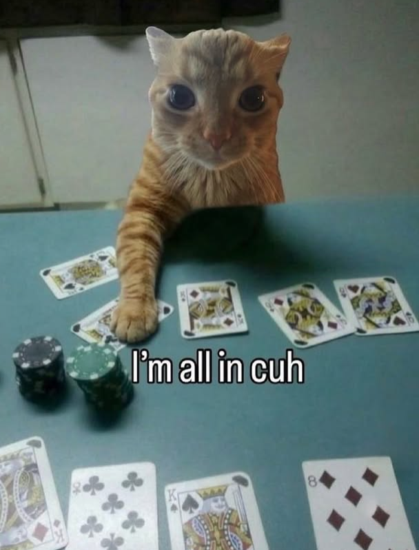 I'm all in cuh K 8