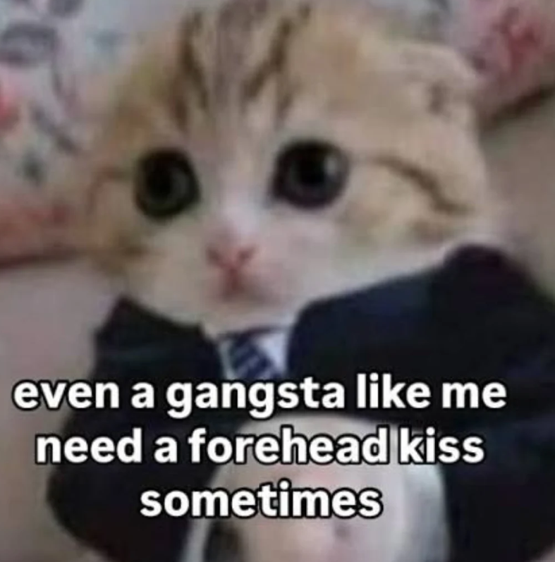 even a gangsta like me need a forehead kiss sometimes
