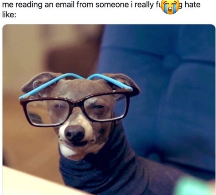 me reading an email from someone i really fu hate like: