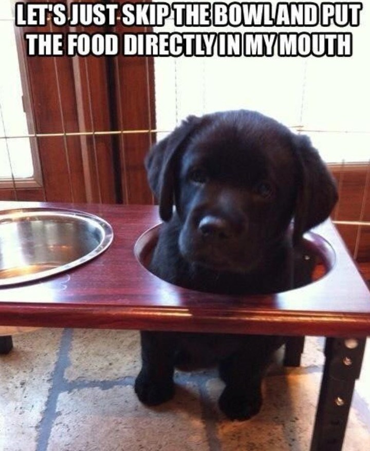 LET'S JUST SKIP THE BOWLAND PUT THE FOOD DIRECTLY IN MY MOUTH