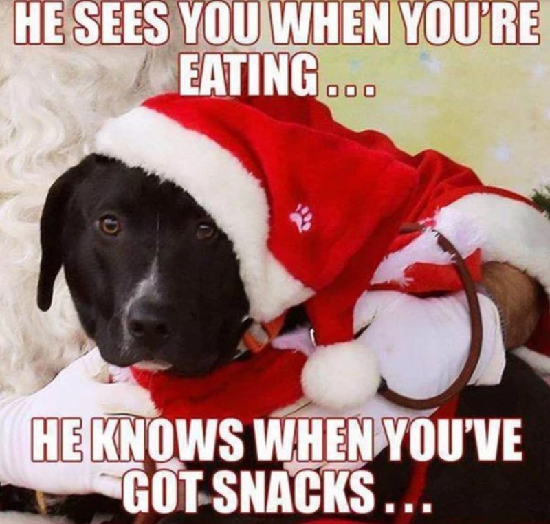 HE SEES YOU WHEN YOU'RE EATING... HE KNOWS WHEN YOU'VE GOT SNACKS...