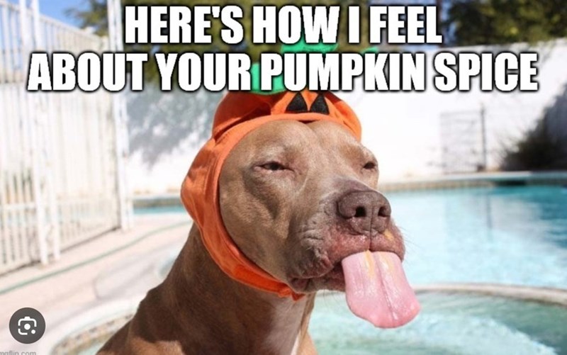 HERE'S HOW I FEEL ABOUT YOUR PUMPKIN SPICE maflin.com