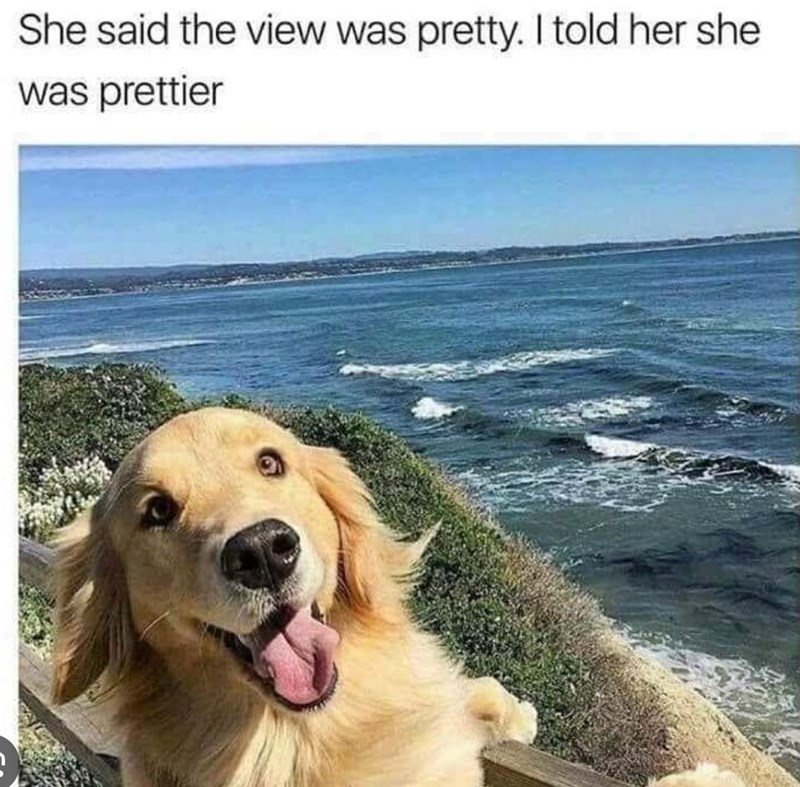 She said the view was pretty. I told her she was prettier