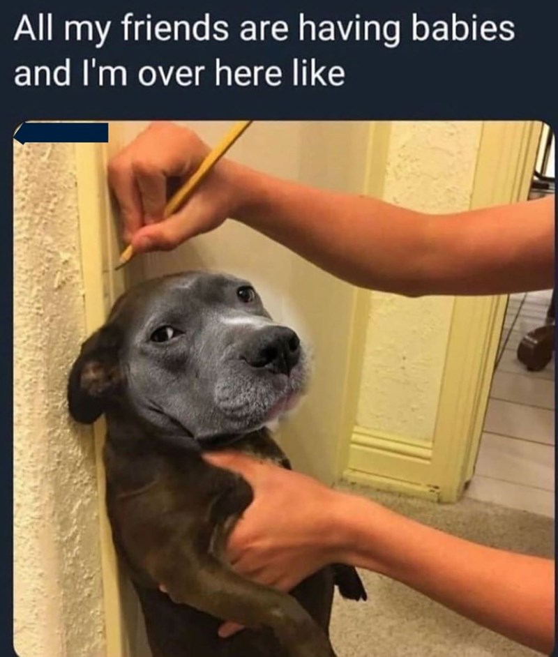 All my friends are having babies and I'm over here like