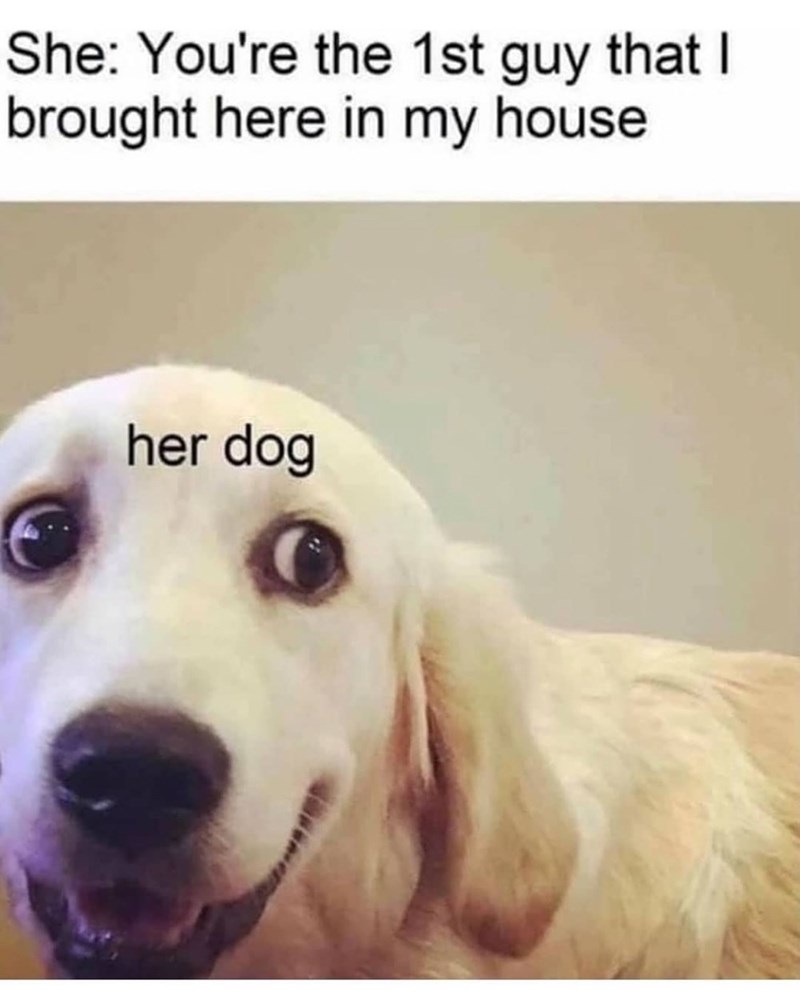 She: You're the 1st guy that I brought here in my house her dog