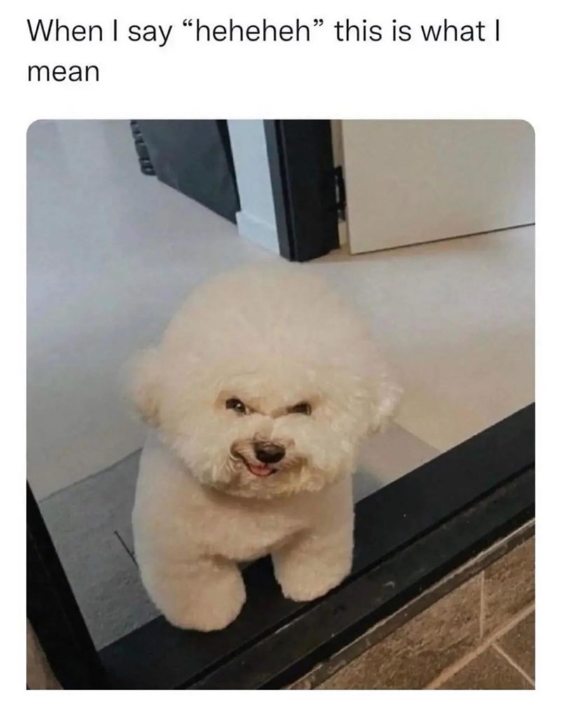 When I say "heheheh" this is what I mean