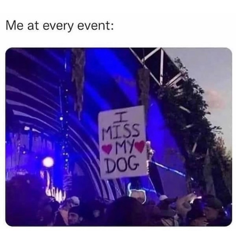 Me at every event: I MISS ♥MY DOG