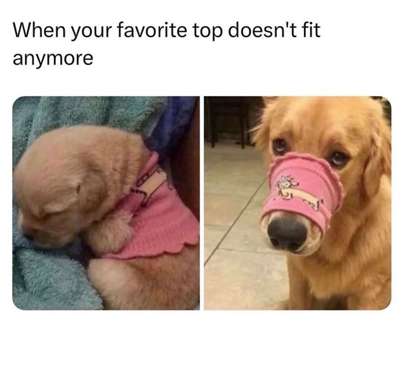 When your favorite top doesn't fit anymore