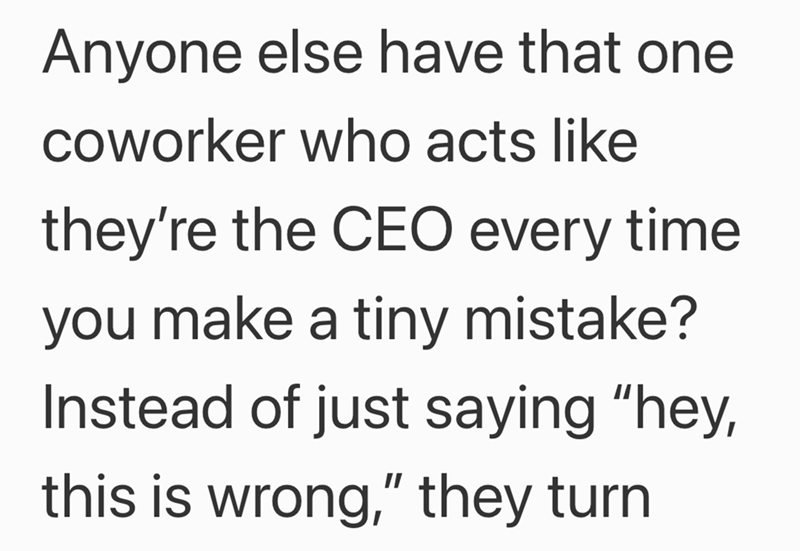 Anyone else have that one coworker who acts like they're the CEO every time you make a tiny mistake? Instead of just saying "hey, this is wrong," they turn