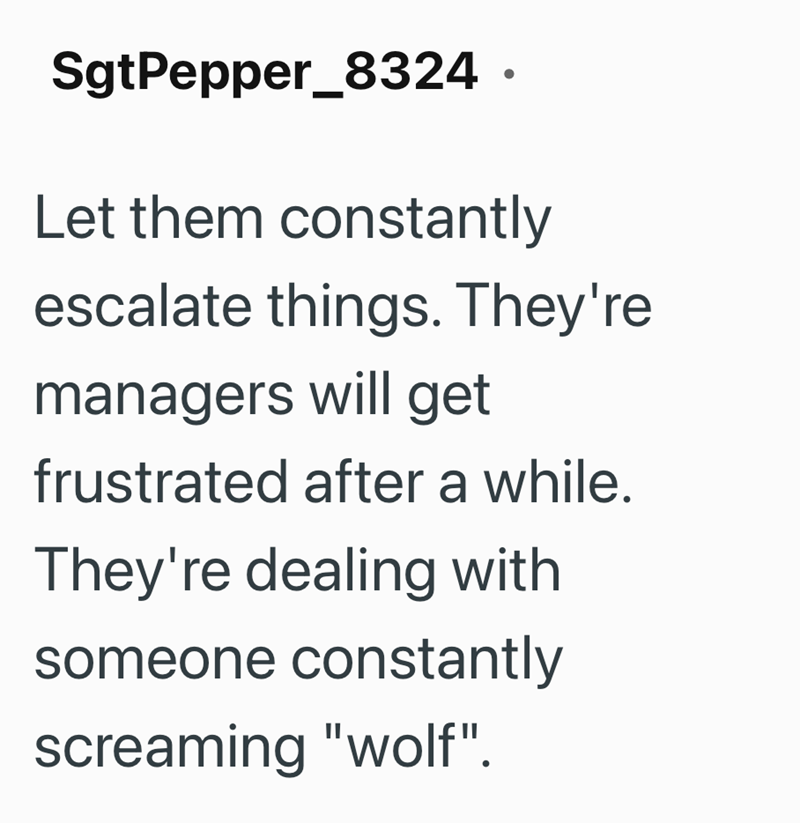SgtPepper_8324 · Let them constantly escalate things. They're managers will get frustrated after a while. They're dealing with someone constantly screaming "wolf".