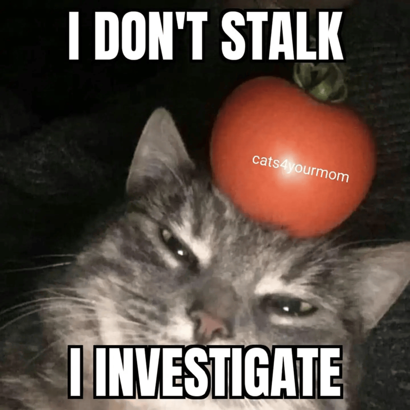 Cheezburger Image 10655378944