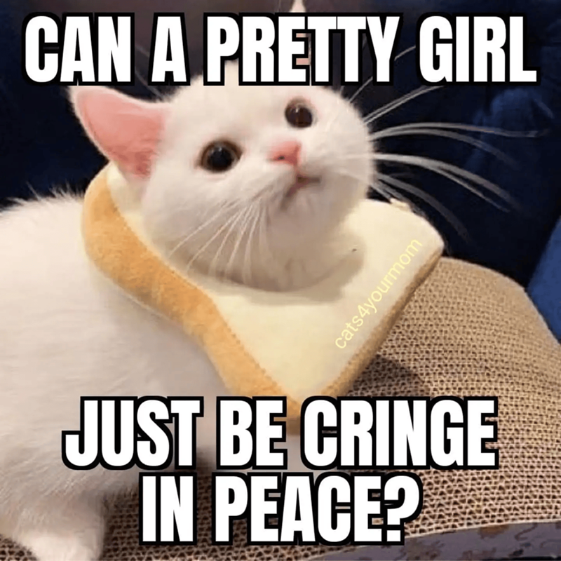 Cheezburger Image 10655383296