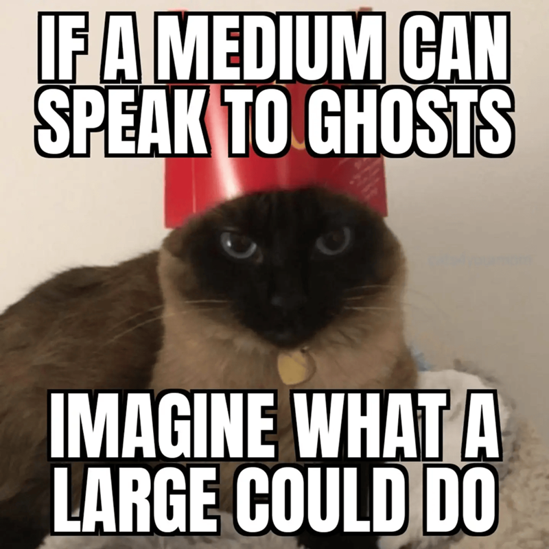 Cheezburger Image 10655385344