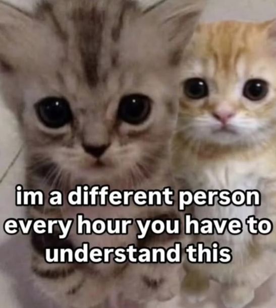 im a different person every hour you have to understand this