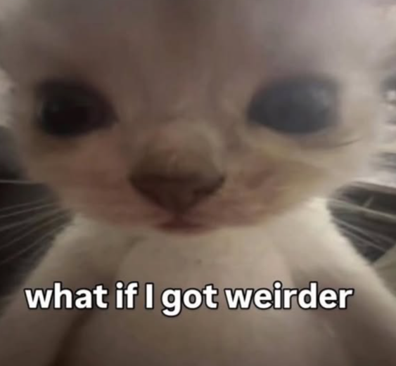 what if I got weirder