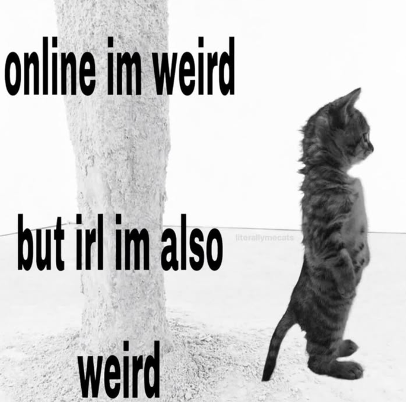online im weird but irl im also weird literallymecats