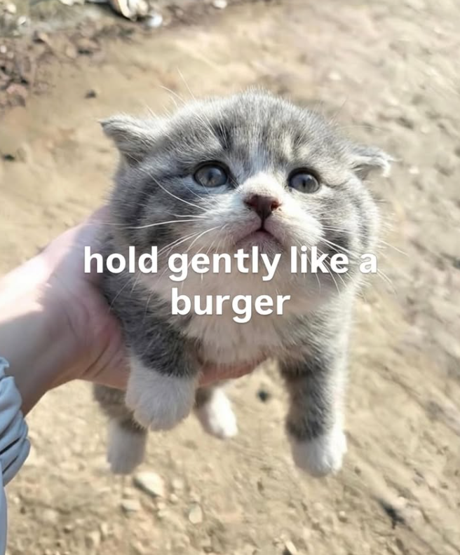 hold gently like a burger