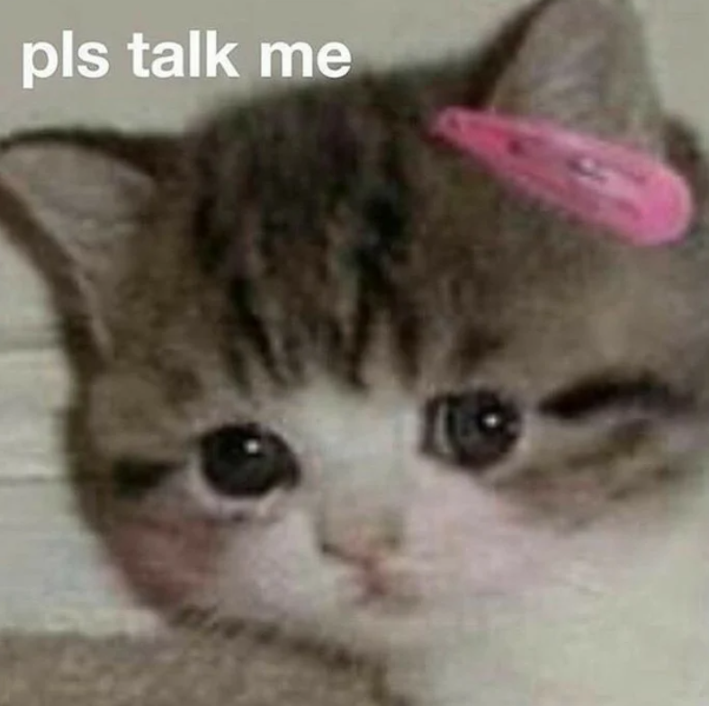 pls talk me