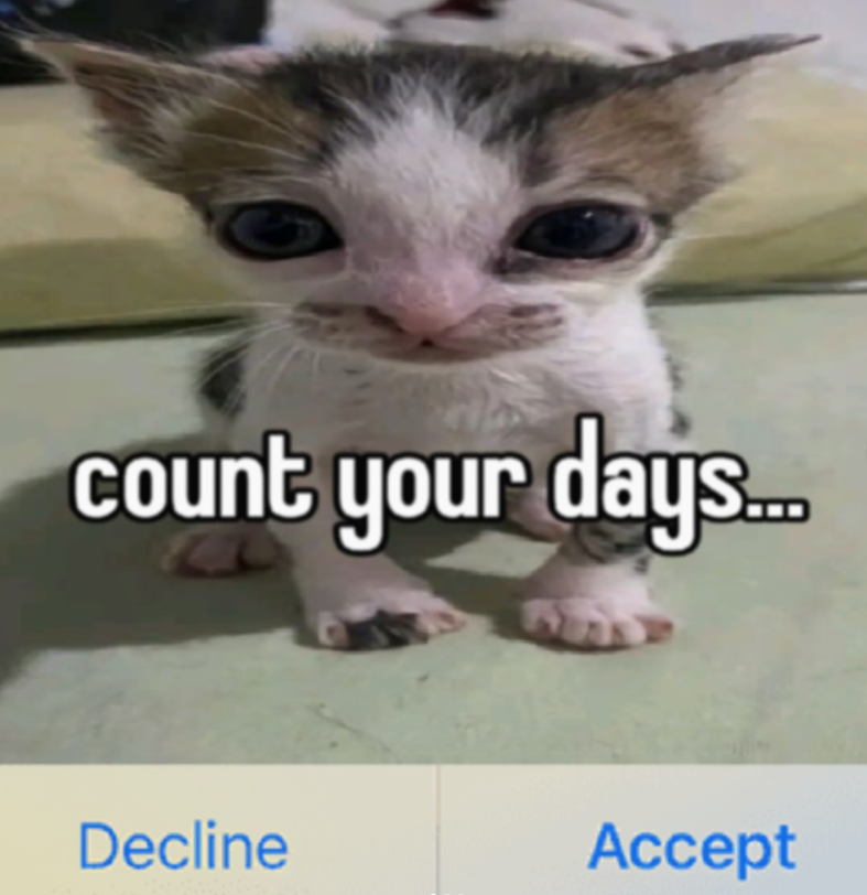 count your days... Decline Accept