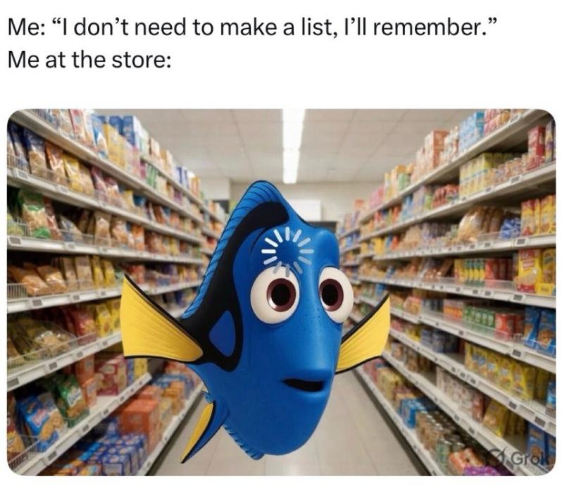 Me: "I don't need to make a list, I'll remember." Me at the store: Grok