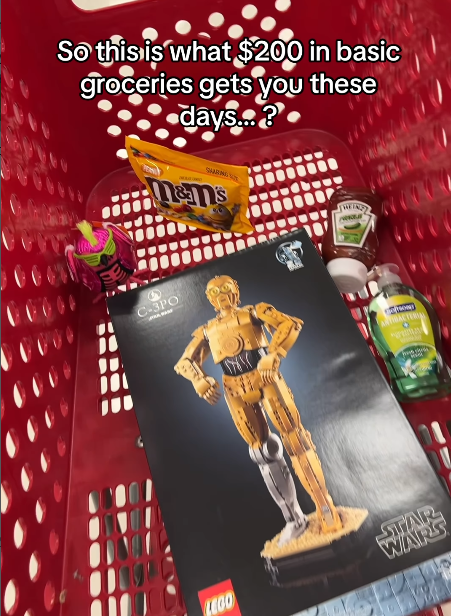 So this is what $200 in basic groceries gets you these days...? C-3PO LEGO STAR WARS