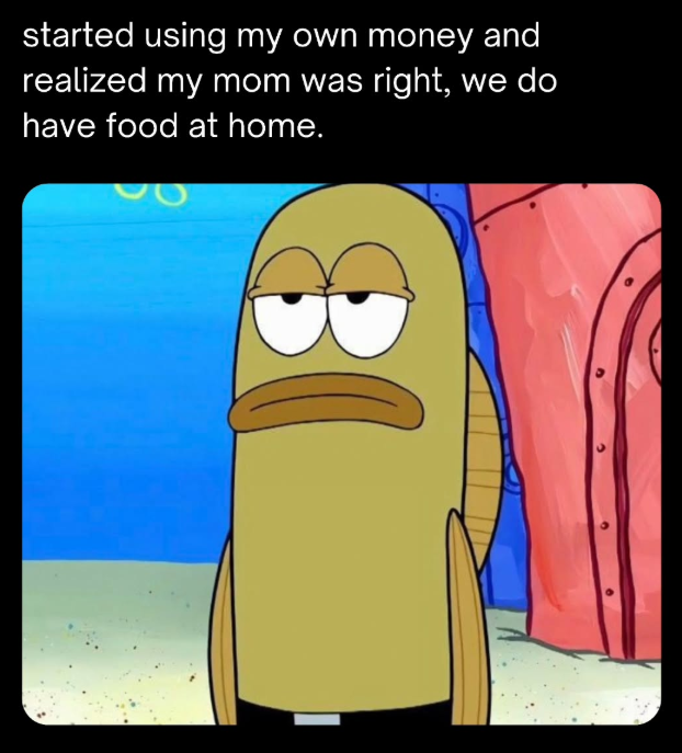 started using my own money and realized my mom was right, we do have food at home.